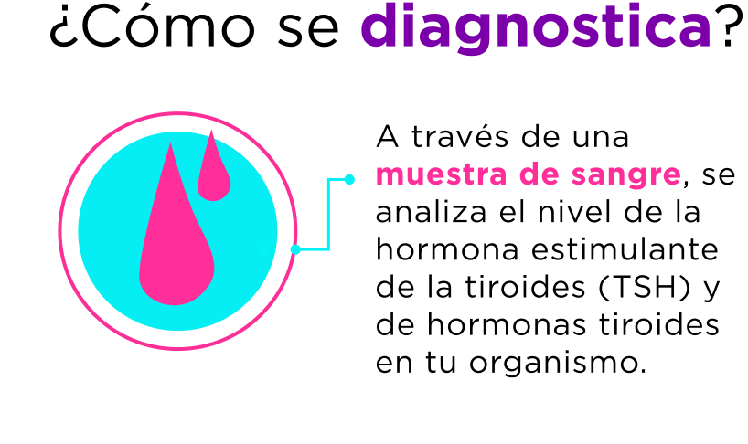 Infografía-04_como-info_imagen_paso_tres